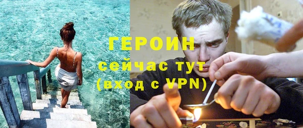гидра Арсеньев