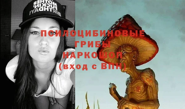 гидра Арсеньев